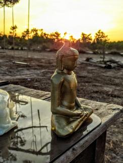 a Buddha