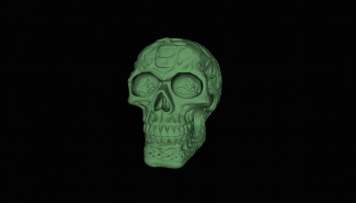 Celtic Skull by artec 3D