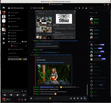 Meta_4's view of discord
